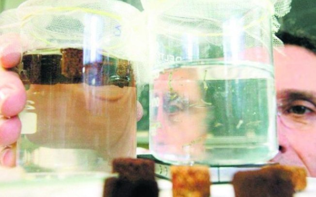 Leia mais sobre o artigo 6 mitos desfeitos sobre o zika vírus